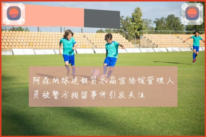 阿森纳球迷假冒水晶宫场馆管理人员被警方拘留事件引发关注